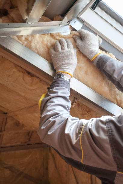 Best Insulation Installation Services in Robertsde, AL